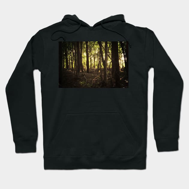 In the Shadows of the Sun Hoodie by InspiraImage